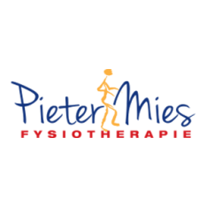 Pieter Mies Fysiotherapie